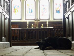 Blessing of the Animals - Dog in Church